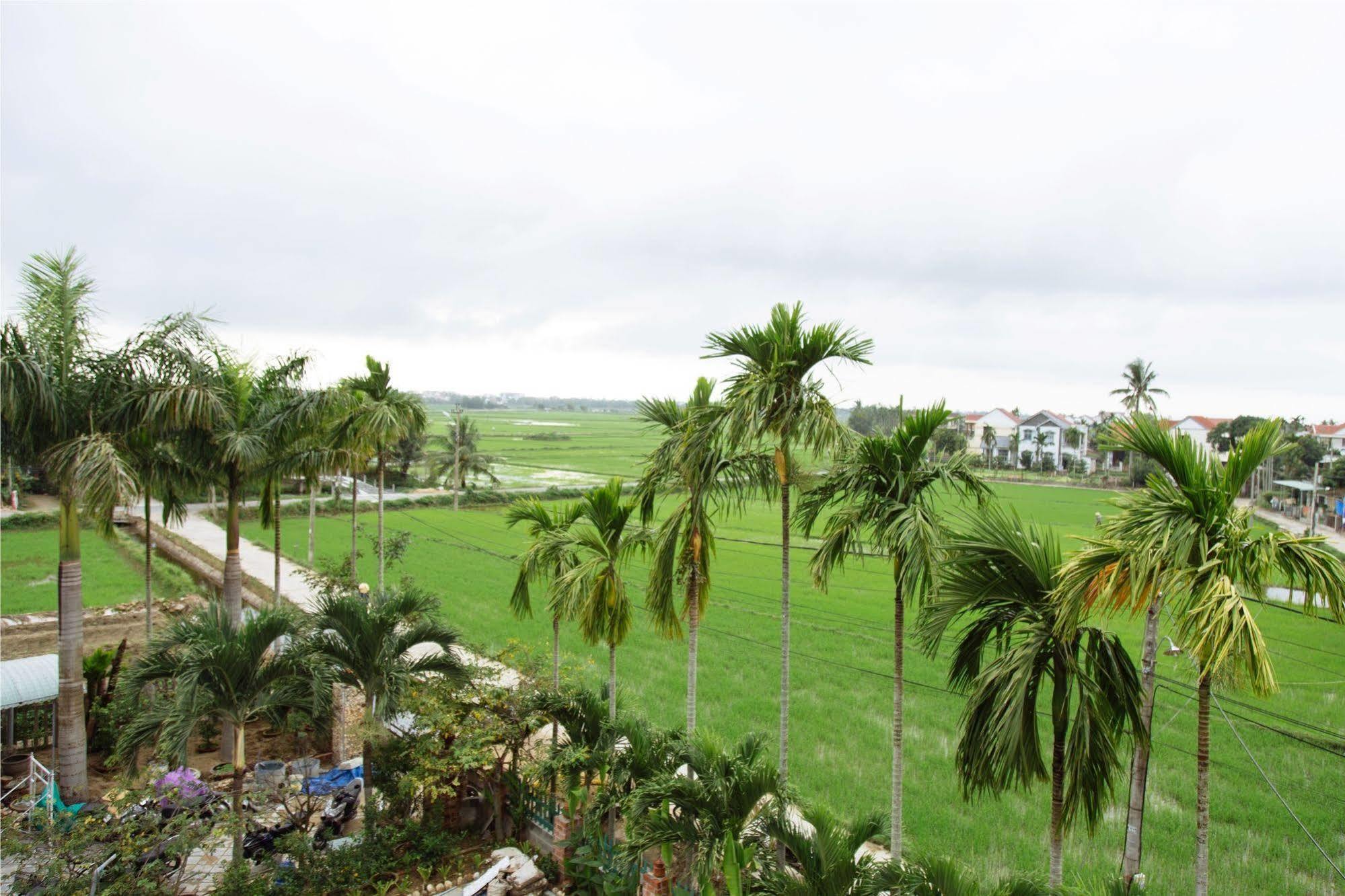 Hoi An Golden Rice Villa Zewnętrze zdjęcie